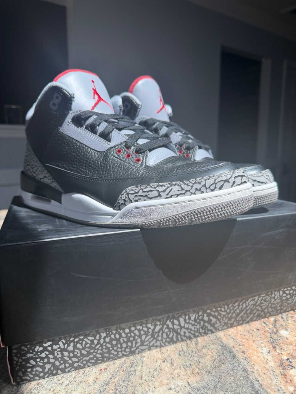 Jordan 3 “Black Cement”